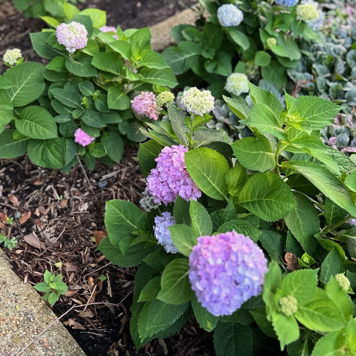 Promises for the&nbsp;Journey